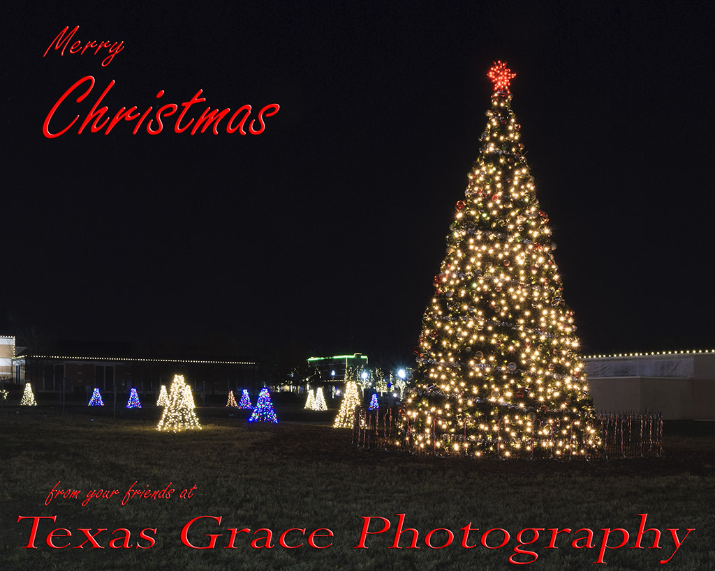 Conroe, TX Christmas tree lights